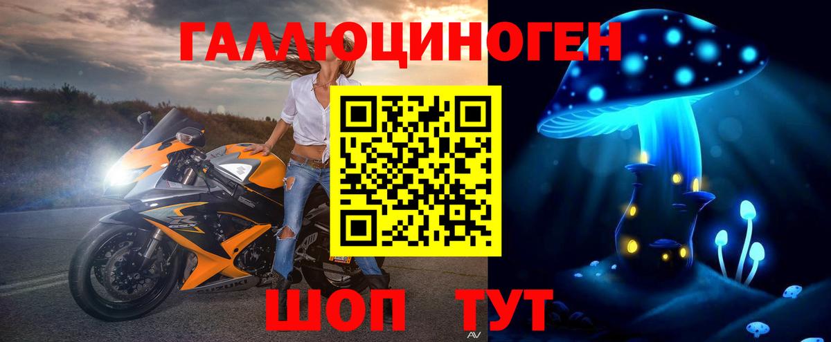 Псилоцибиновые грибы GOLDEN TEACHER Нефтекумск