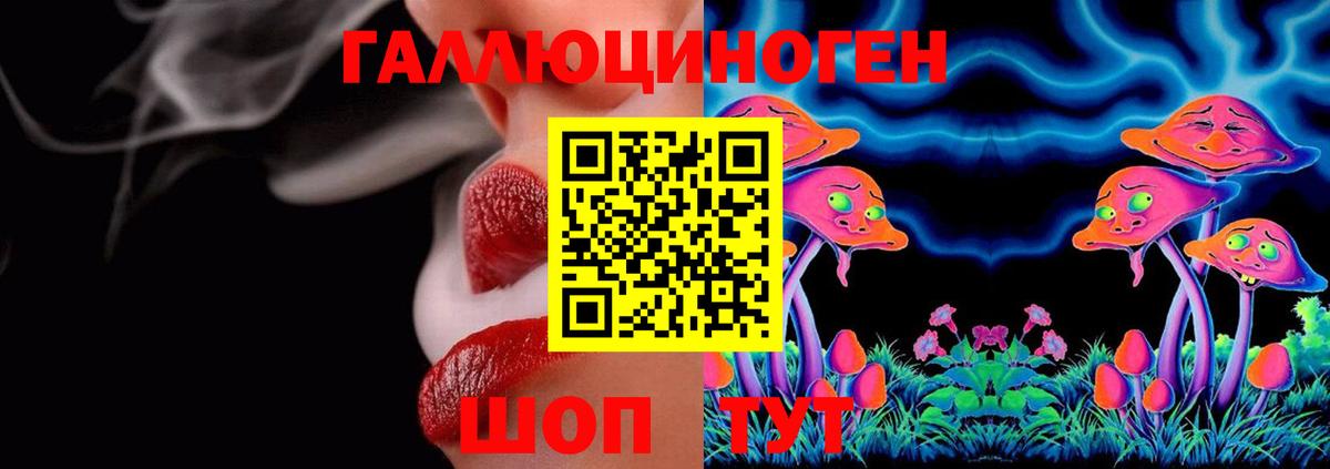 Нефтекумск  Галлюциногенные грибы Cubensis  Вход с VPN 